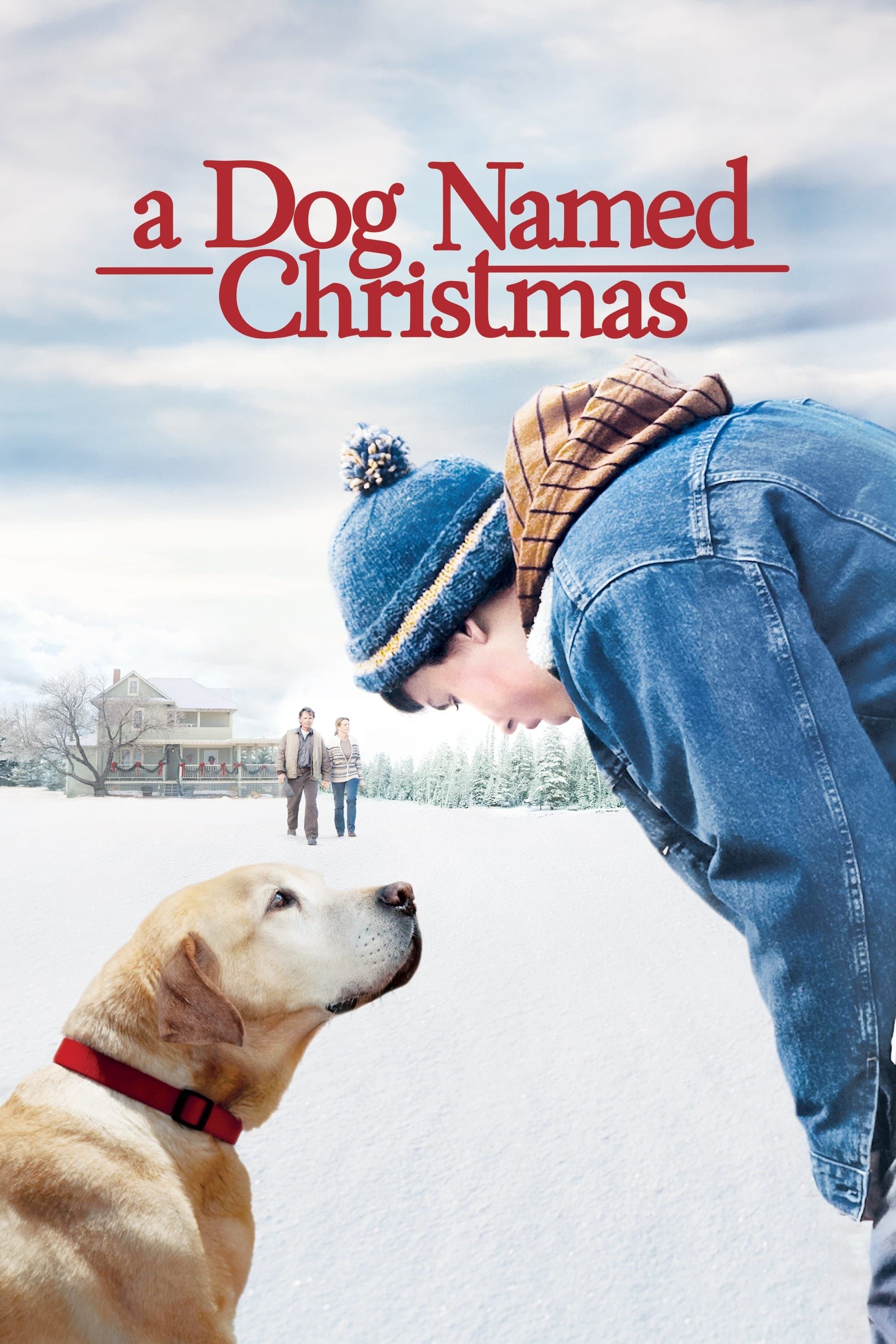 Постер A Dog Named Christmas